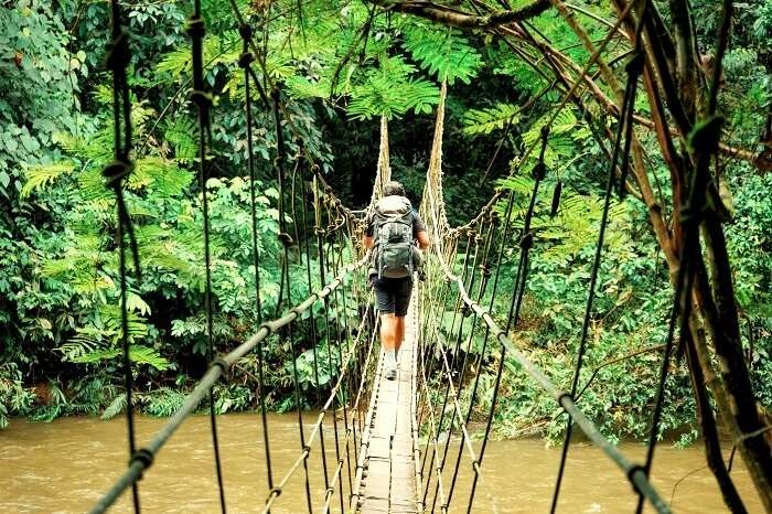 Loagan Bunut National Park Guide For All Nature Lovers! tempat menarik Miri