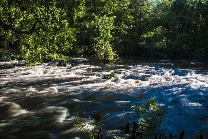 River Hillsborough Rapids