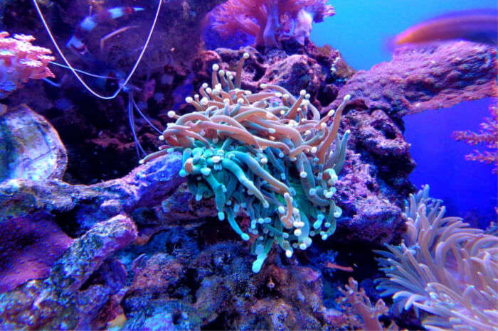 diving site welcomes divers of all levels of experience