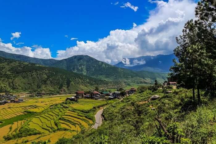 Wangdue Phodrang