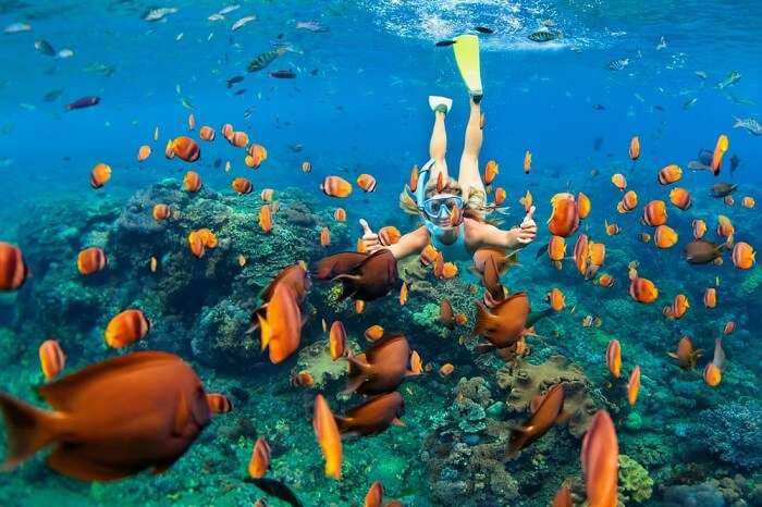 Amazing Spots for Snorkeling In Cambodia