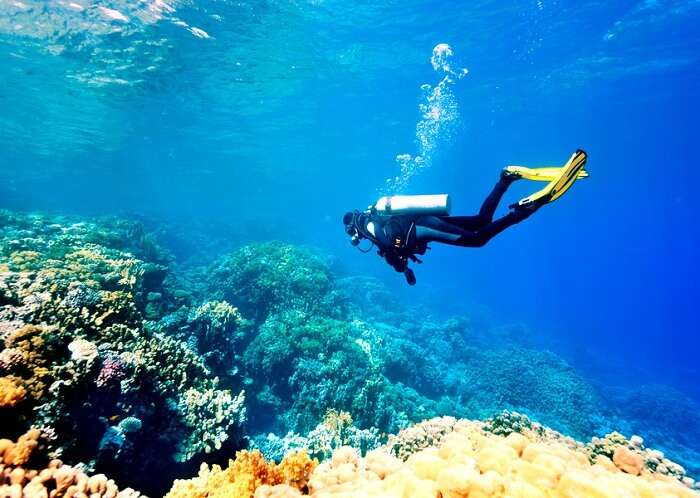 Scuba Diving In Beirut: Top Places For An Exciting Experience