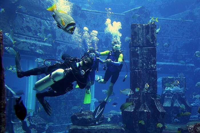 Beautiful Aquarium In Dubai