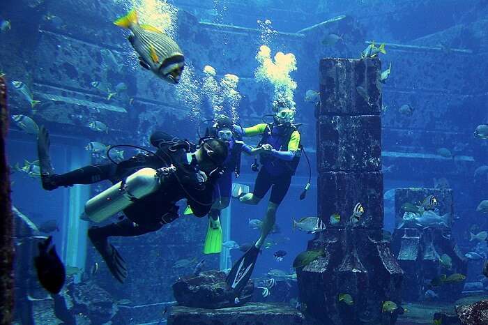 Know All About The Lost Chambers Aquarium In Dubai