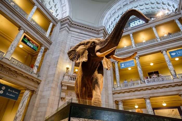 museums in washington