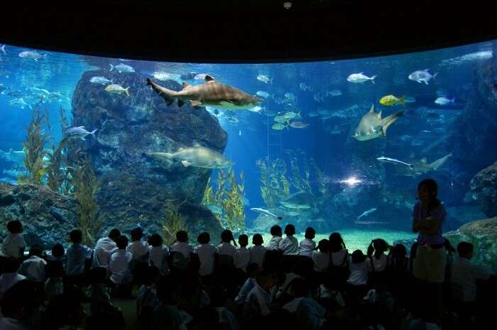 Ocean World in Bangkok