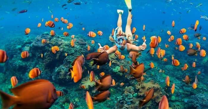 Amazing Spots for Snorkeling In Cambodia