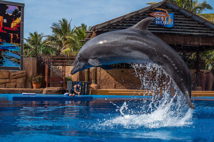 Africa’s Largest Marine Theme Park