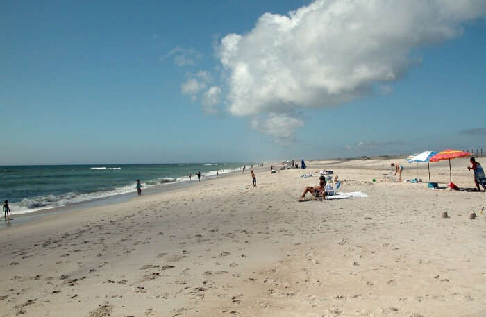 Assateague Island