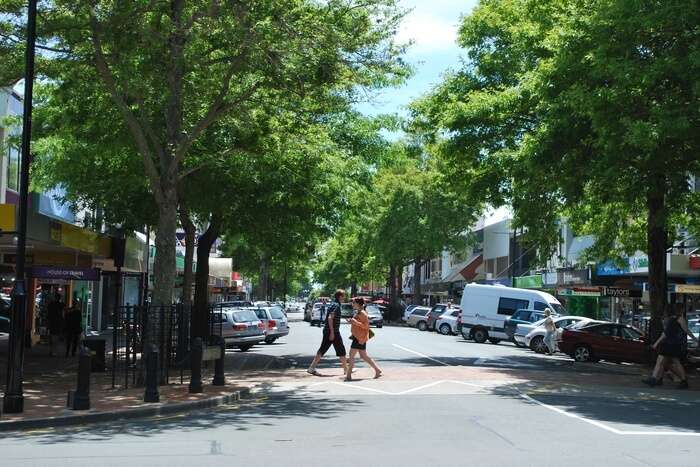 Lambretta Cafe Nelson . Plan B Bar& Cafe Nelson.