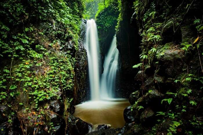 Best Time to Visit Gitgit Waterfalls