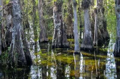 10 Best Miami National Parks One Must Visit!