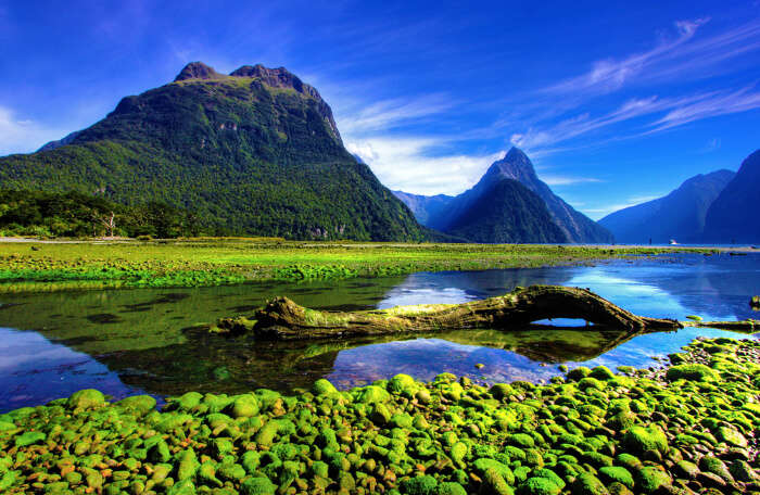 Milford Sound New Zealand