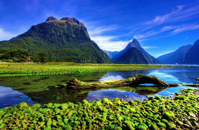 Camping in New Zealand  Things to see and do in New Zealand