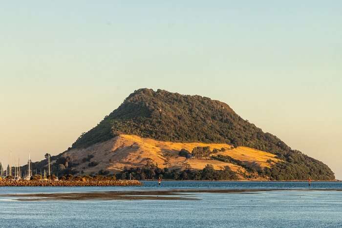 A view of Auckland