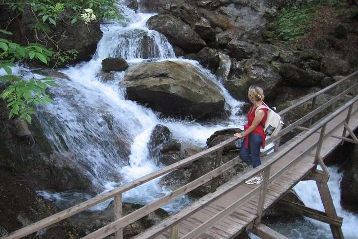 Cover for Waterfalls In Austria