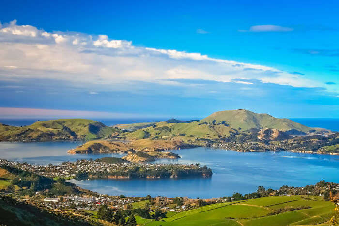 what to visit in dunedin