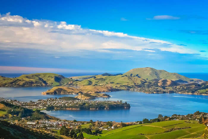 A view of Dunedin