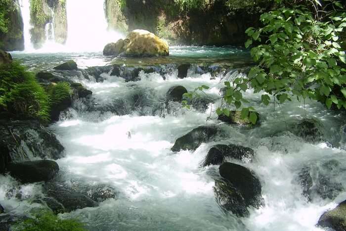 Eshed Waterfalls