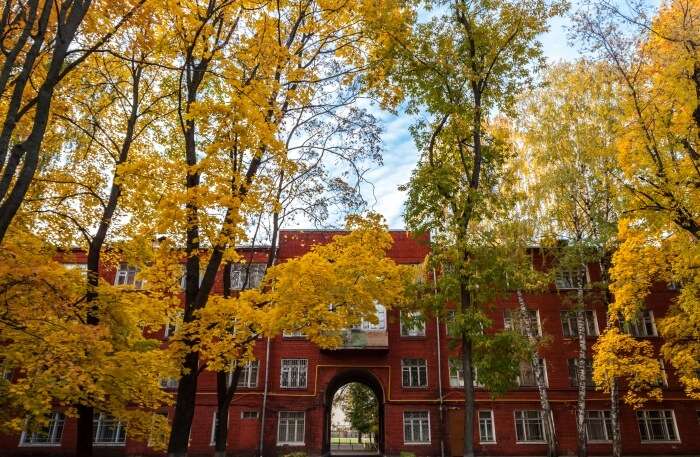 Experience Golden Autumn In Moscow