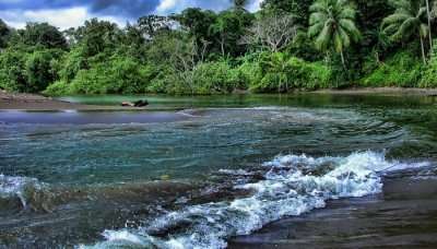 Explore The Lush Green Environment Of Costa Rica