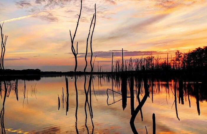 Photos of Beautiful Sunrises In New Jersey