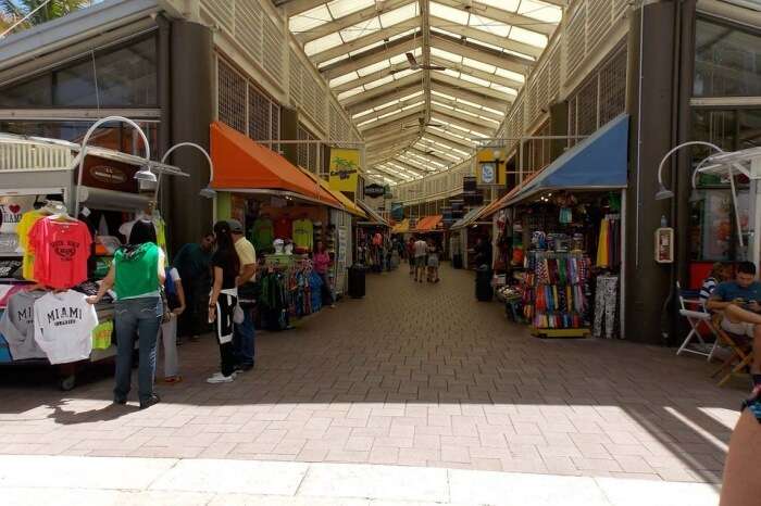 Miami Flea