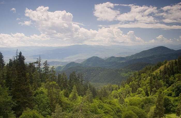 Borjomi-kharagauli Park