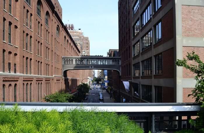 The High Line In New York