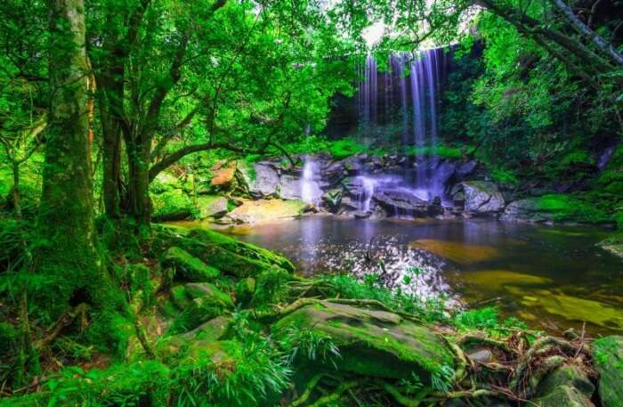 Waterfalls View