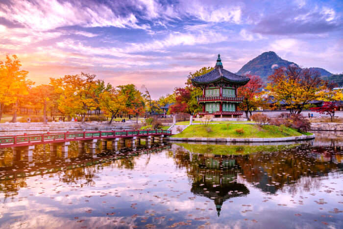 Top 10 Reasons To Visit South Korea With Your Family In 2022!