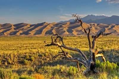 Awesome Great Sand Dunes National Park
