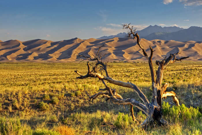 Great Sand Dunes National Park: A Dessert Treasure In USA