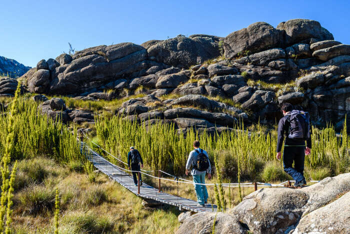 Peak Mountain Prateleiras in Itatiaia National Park, Brazil Stock Image -  Image of itatiaia, high: 42182975