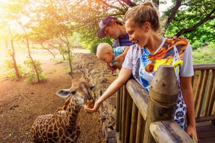 Best Zoos In Cape Town