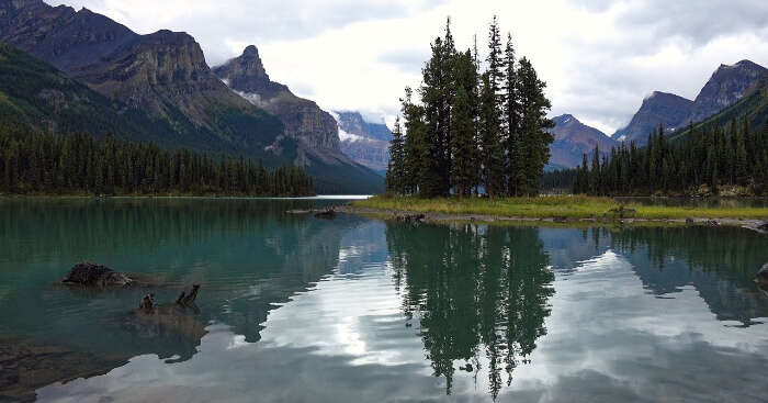 Splendid Wilflife of Canada