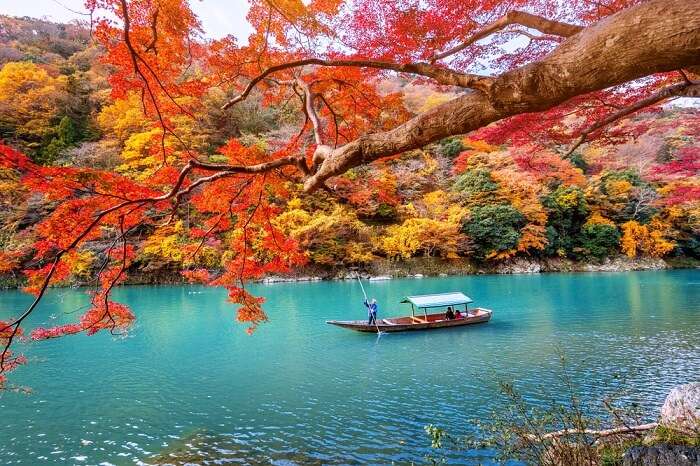 japan autumn