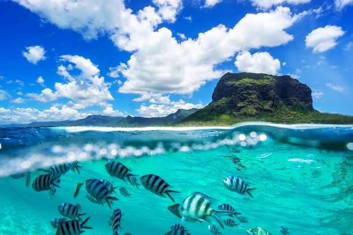 Scuba Diving Mauritius