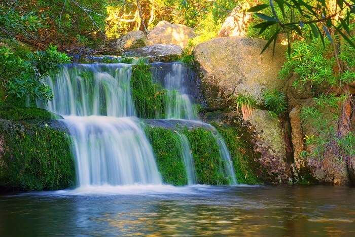 tanzania waterfalls cover