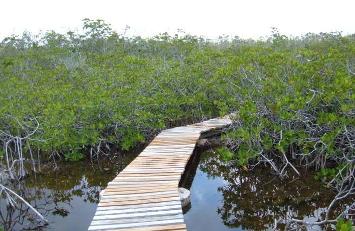 Abaco National Park