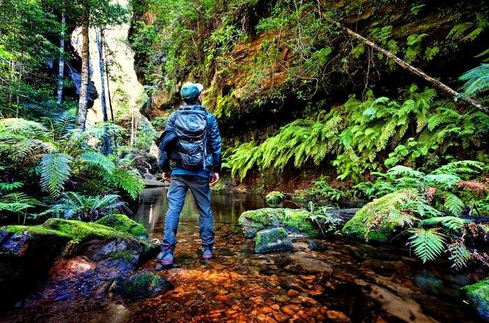 10 Adventure Places In Sydney You Cannot Dare To Miss 6282