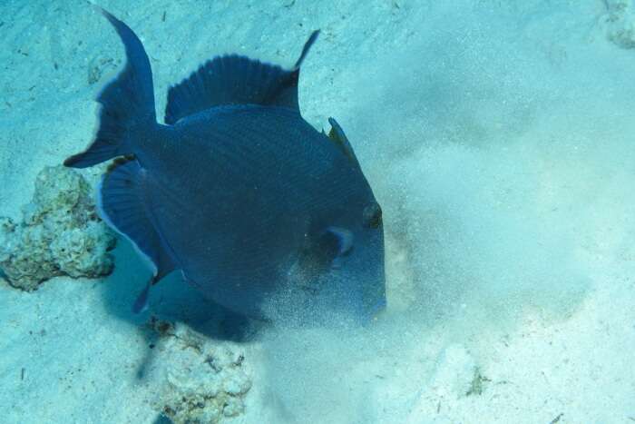 Diving Centre