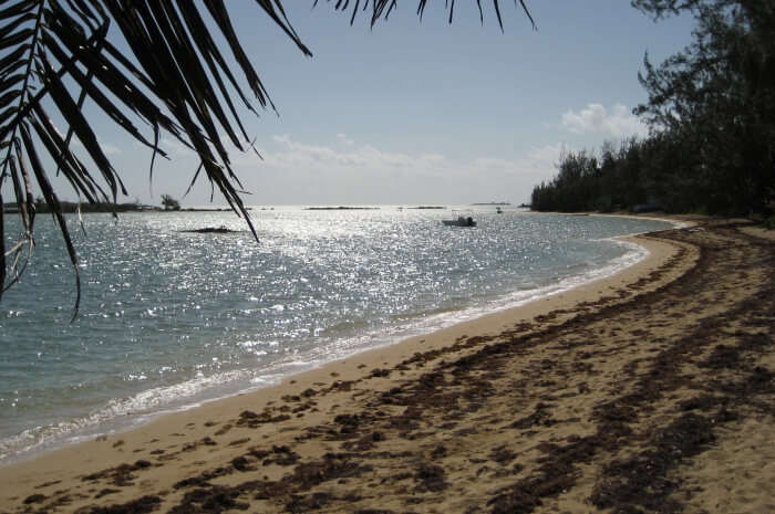 Andros Island