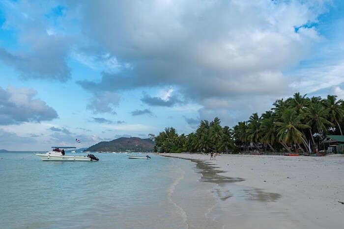 Anse Volbert