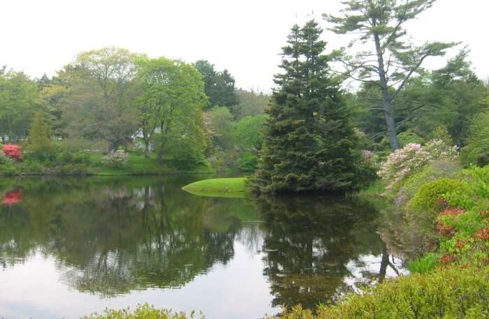 Asticou Azalea Garden