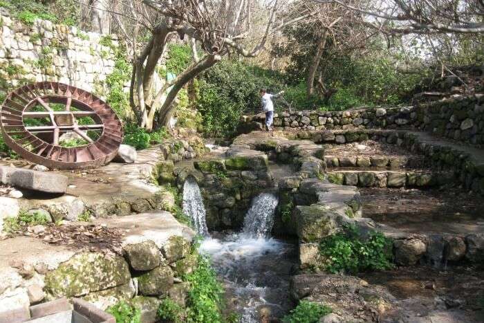 Banias Nature Reserve For Water Hike