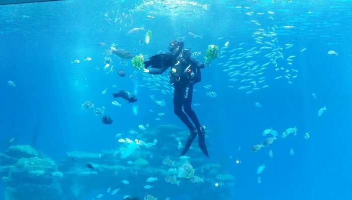 Go Scuba Diving In Bangkok