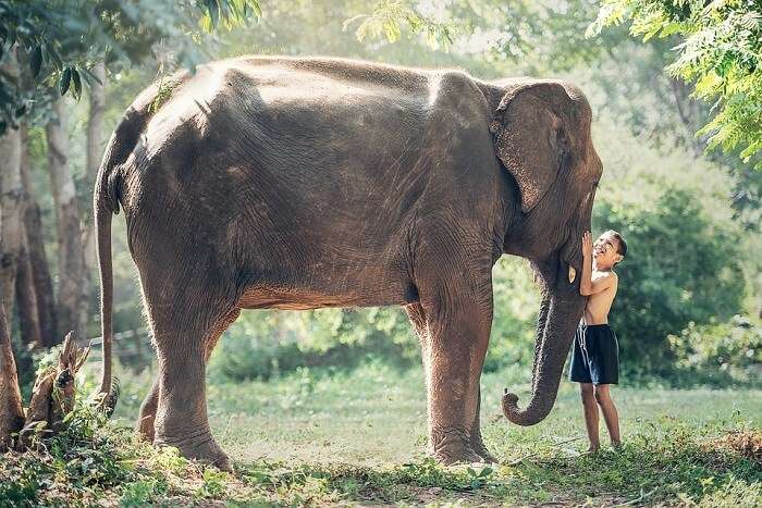 Siem Reap Wildlife