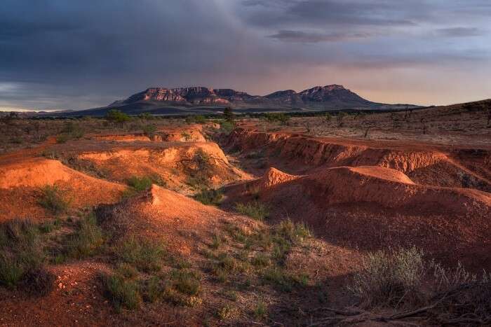 Cover for Wilpena Pound In Australia