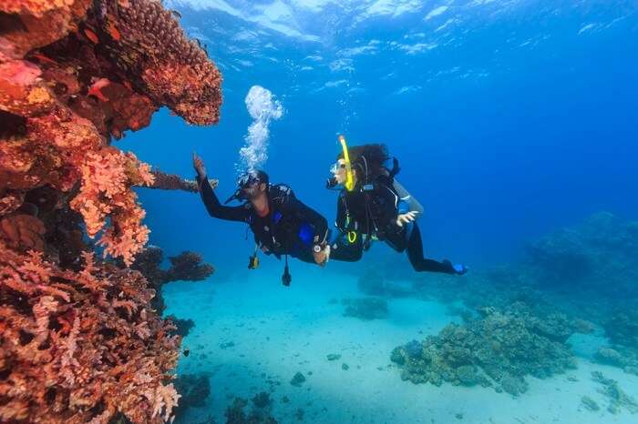 Cover for colombo scuba diving